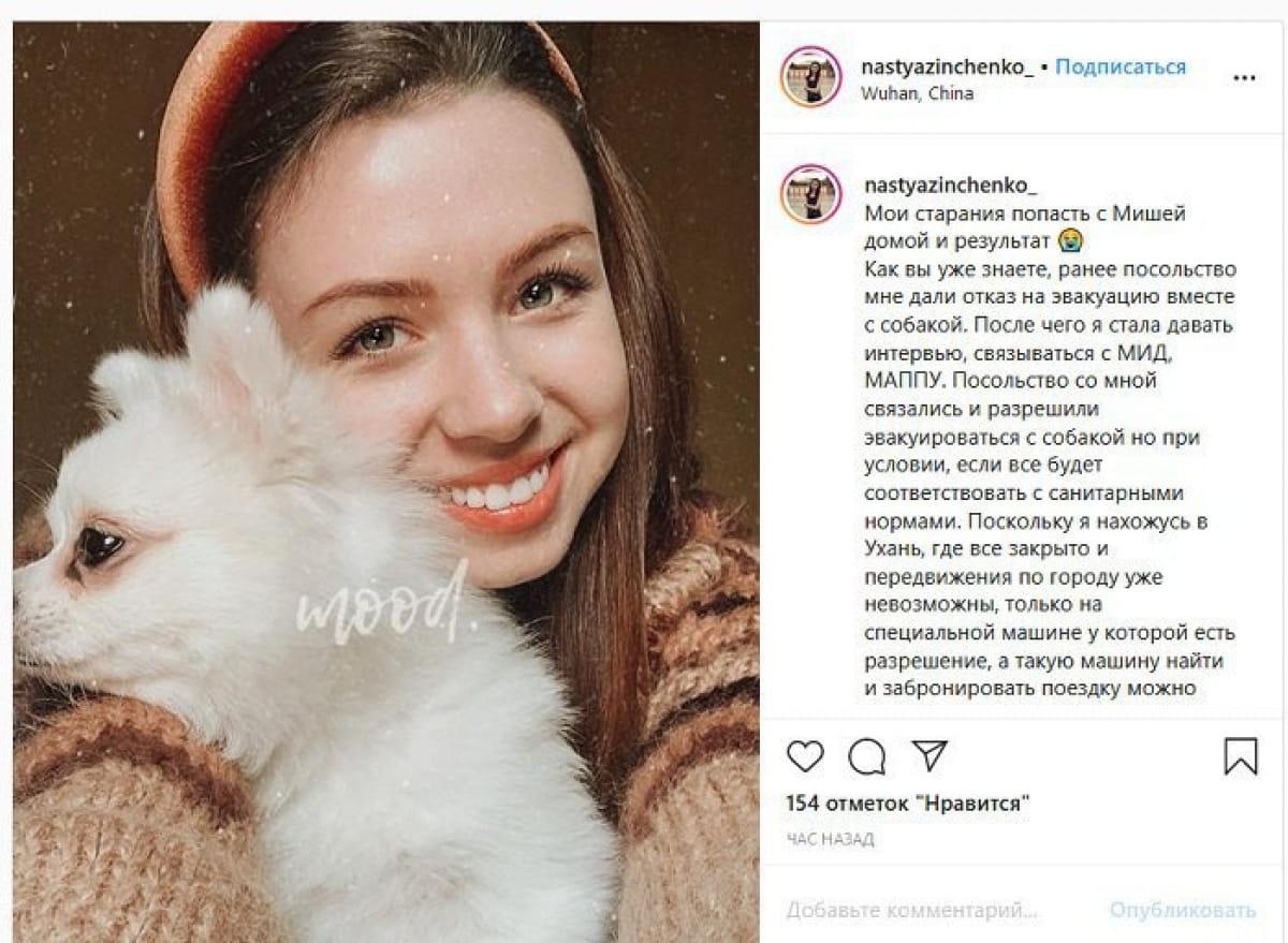 Девушке не разрешили забрать из Уханя свою собаку
