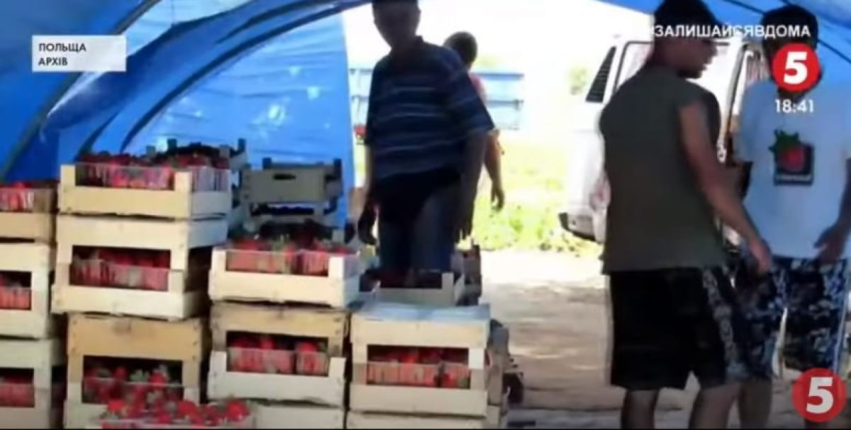 Ринок у Польщі