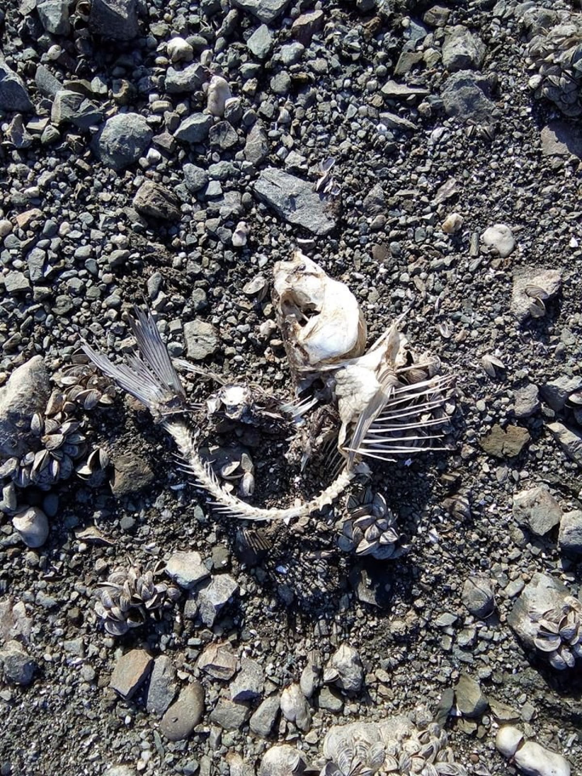 Симферопольское водохранилище