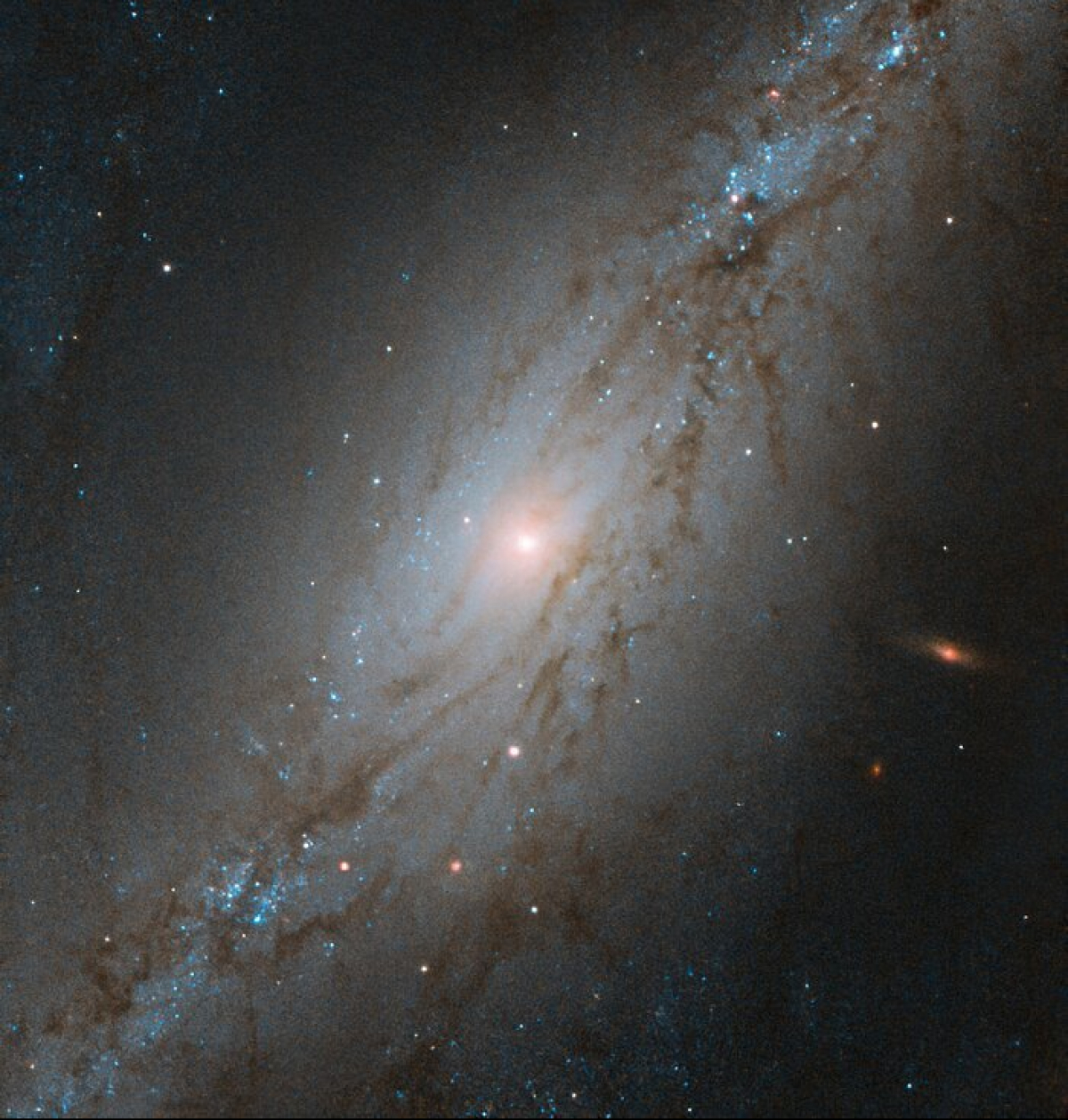 Галактика NGC 7513