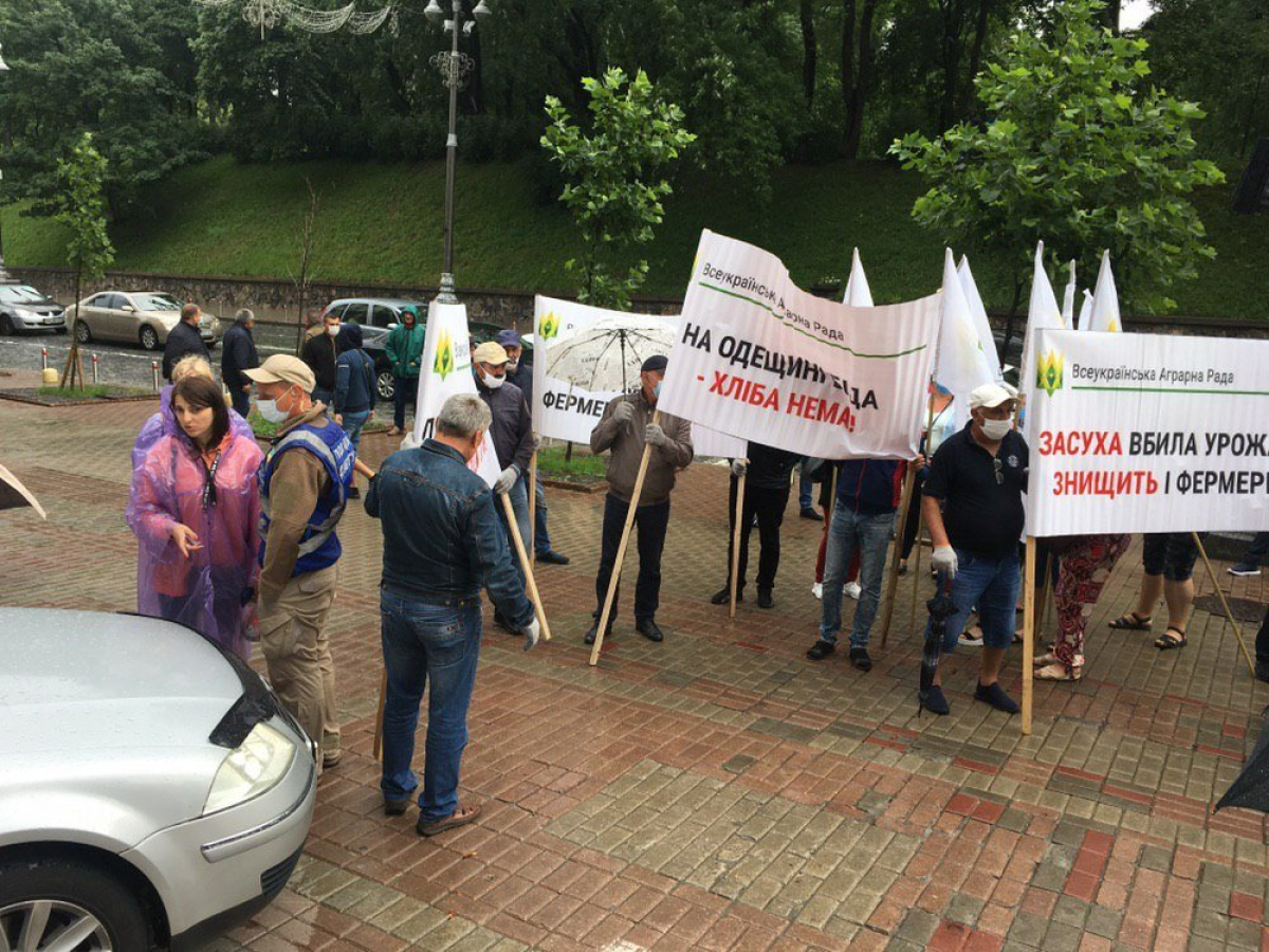 Под Кабмином протестуют фермеры