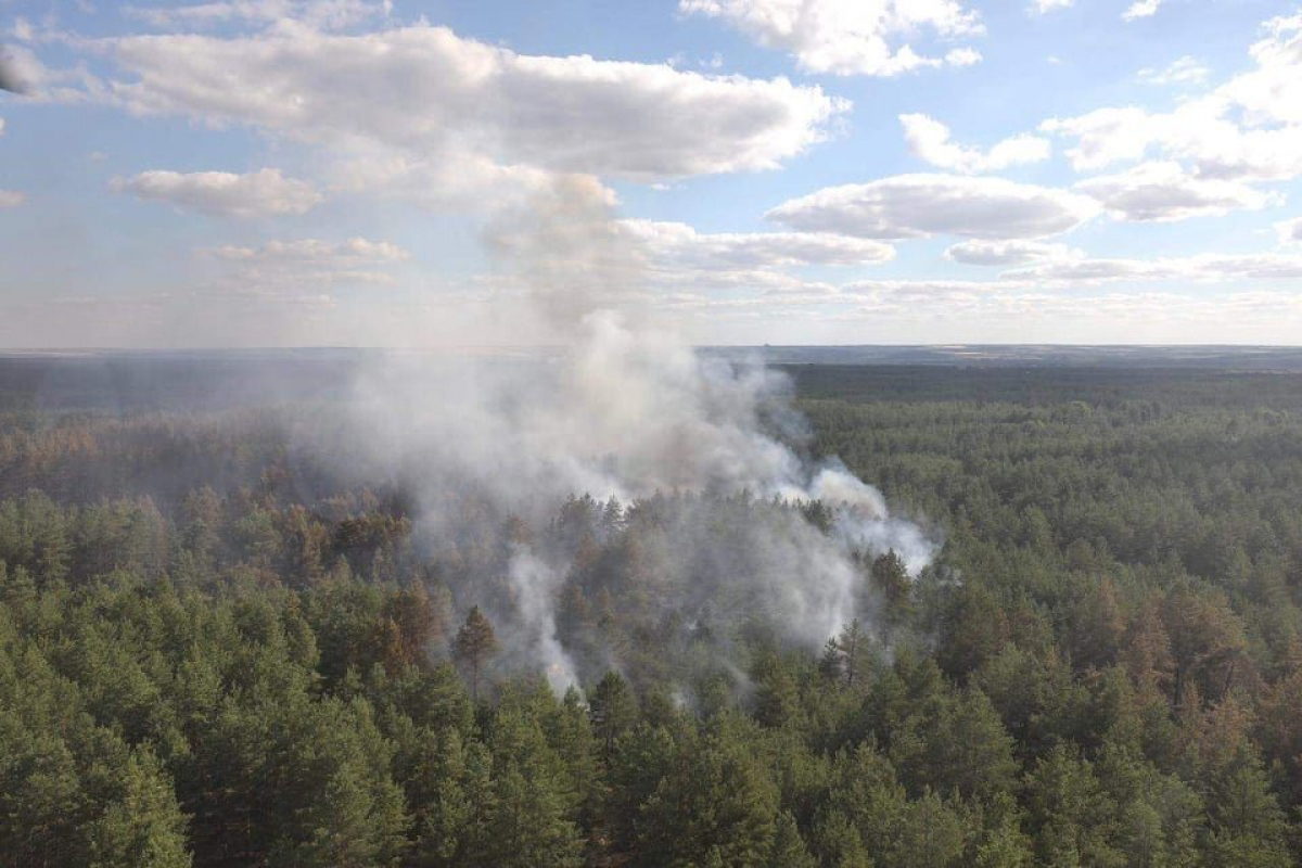 Пожежа на Луганщині