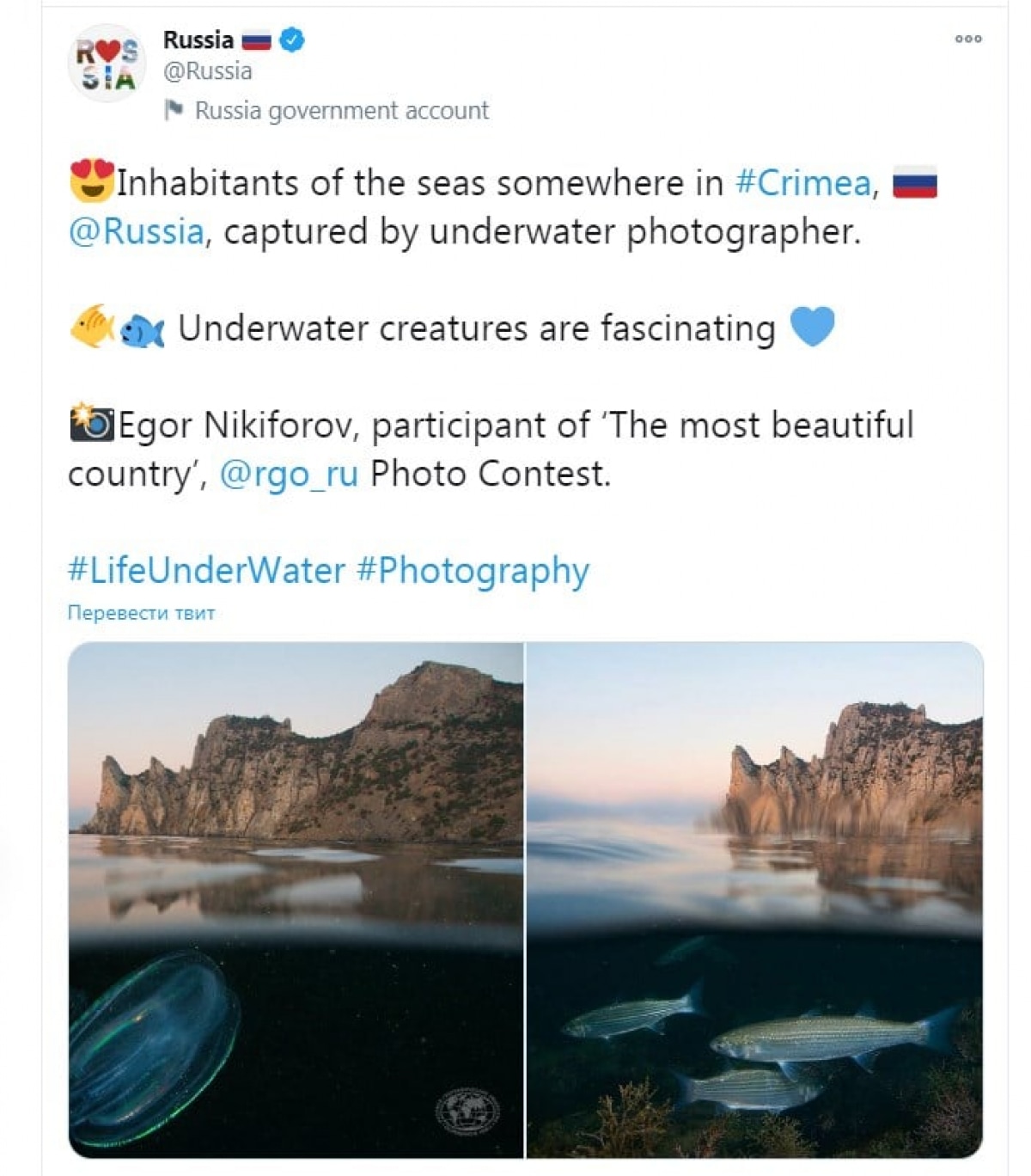 Аккаунт Украины в Twitter потроллил Путина