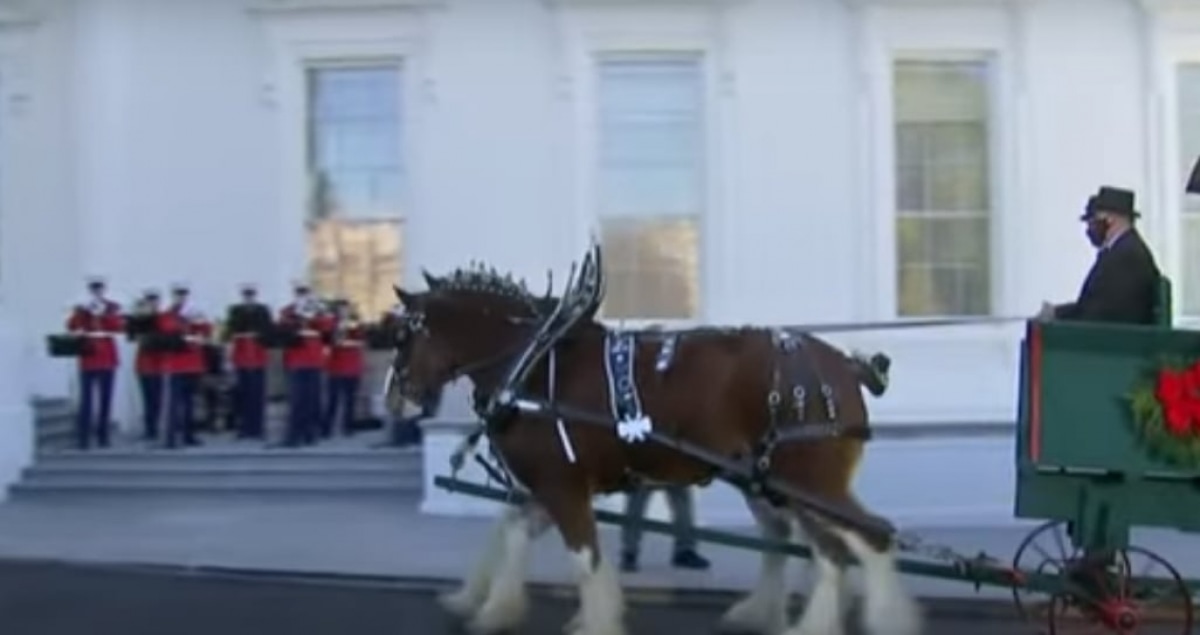 США