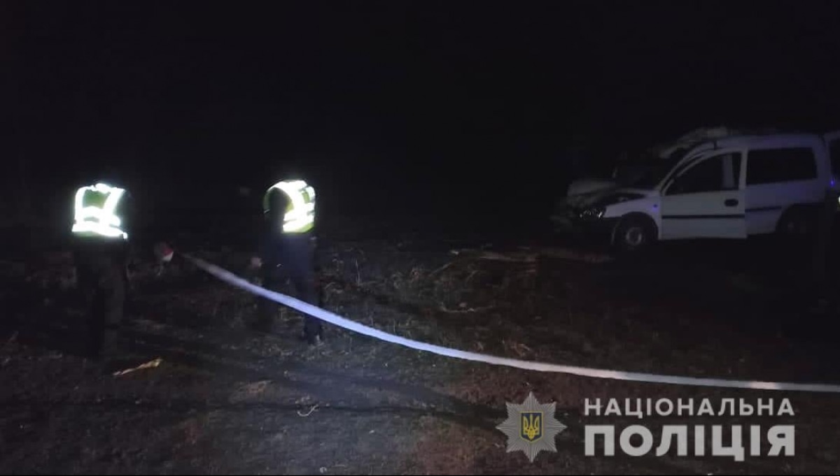 ДТП с лошадью в Одесской области