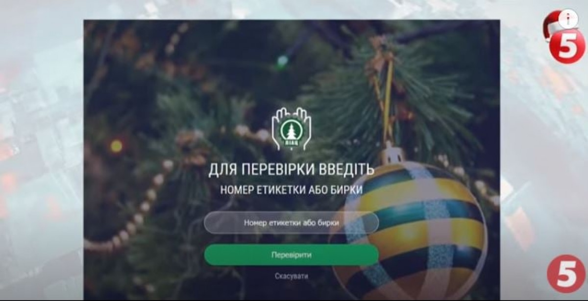 Сайт, де можна перевірити легальність ялинки