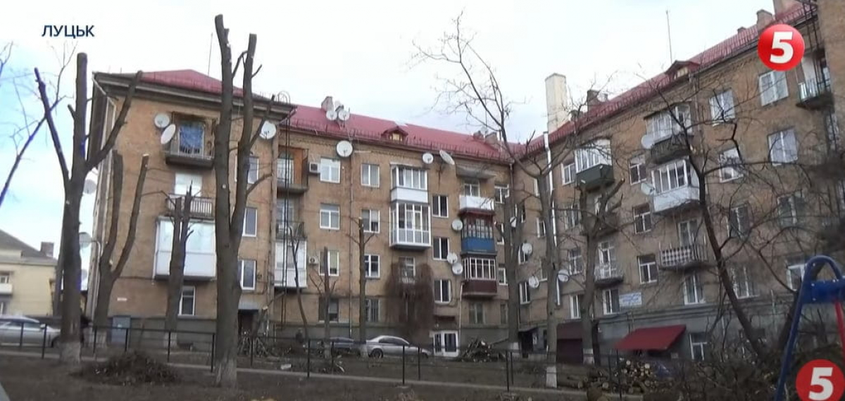 дерева