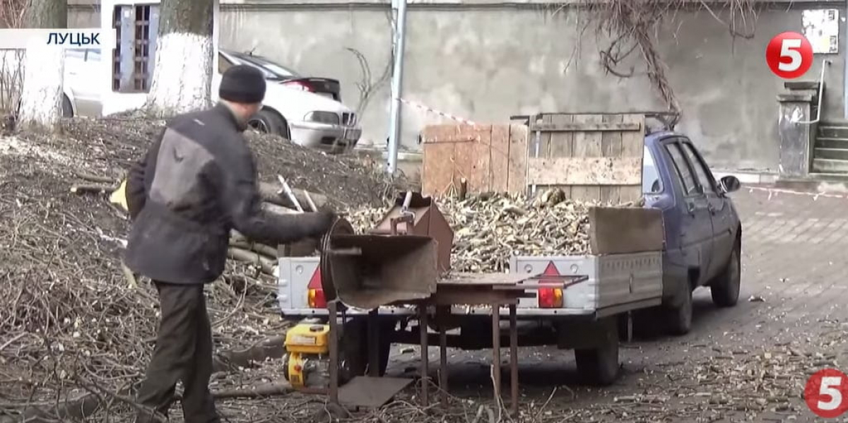 дерева