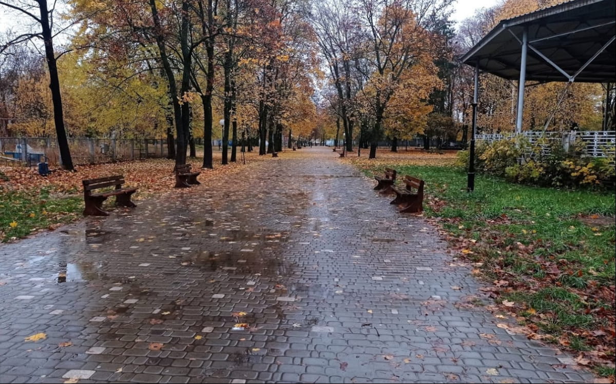 парк в Шостке