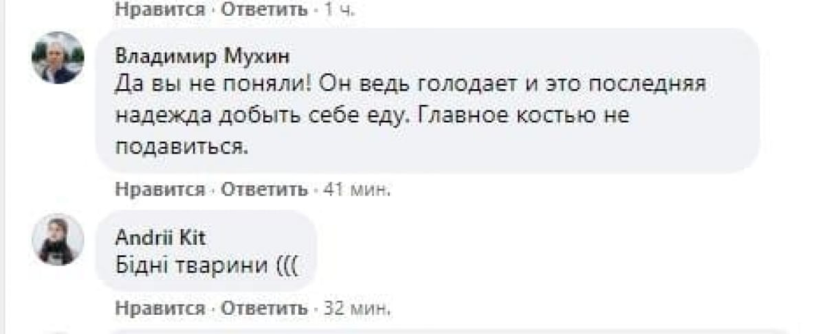 Пользователи соцсетей раскритиковали депутата Стефана Магаса