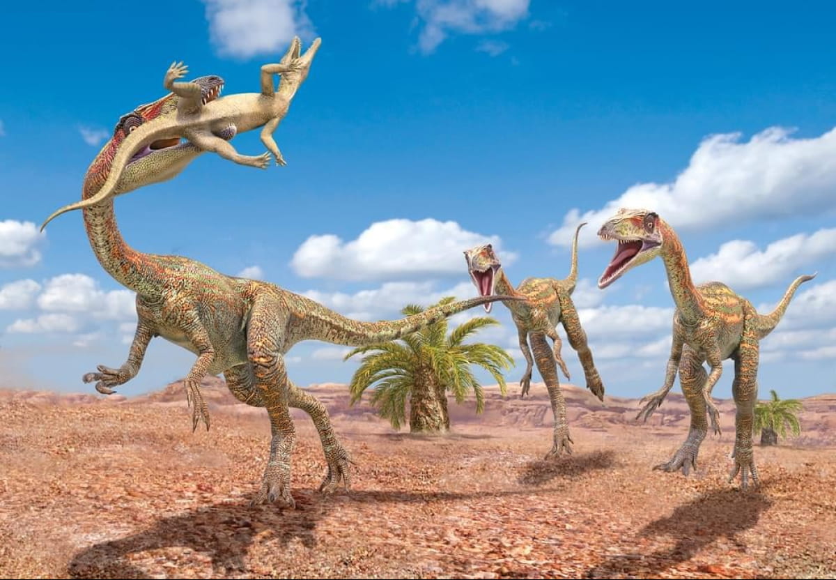 Динозавры Coelophysis