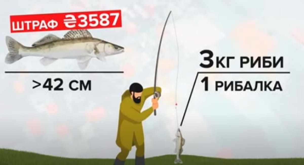 Риболовні норми