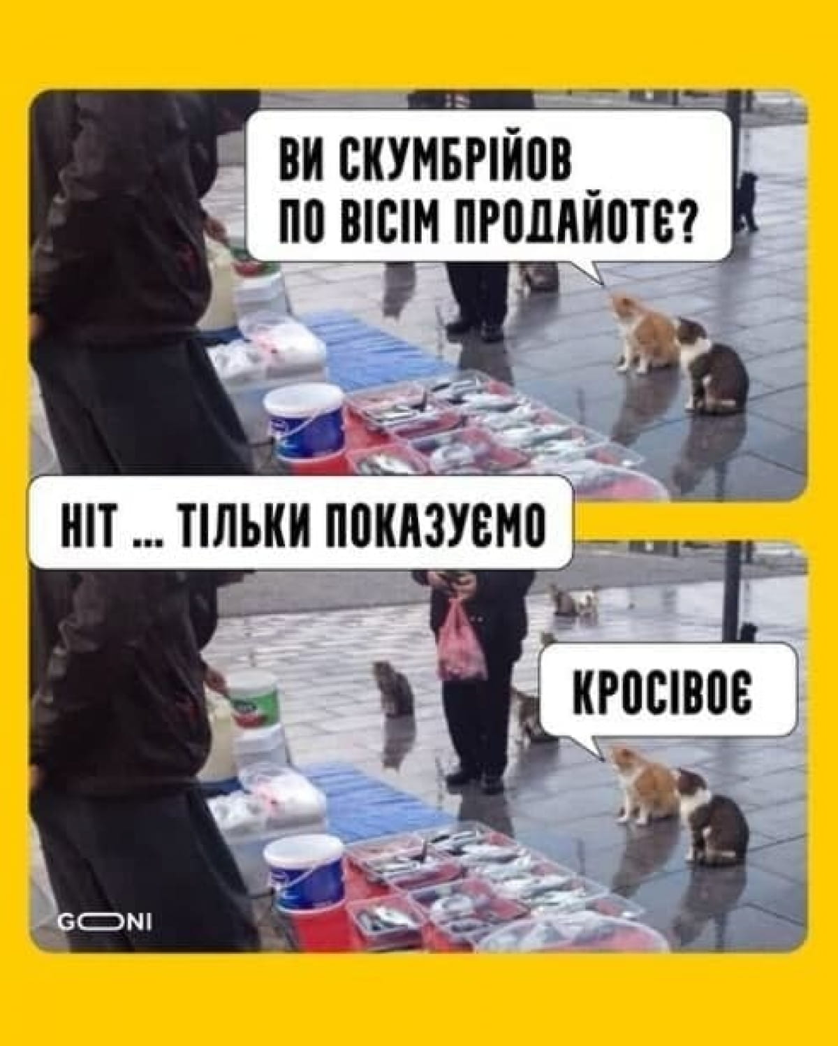 Меми про скумбрію по 8 грн