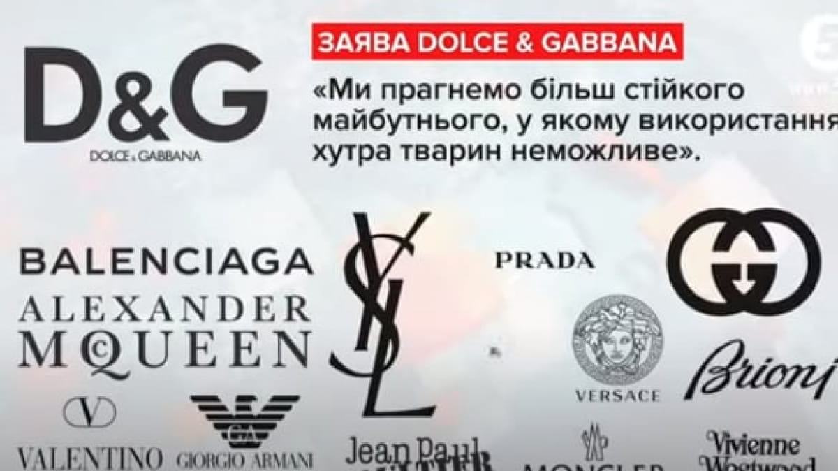Заява Dolce & Gabbana