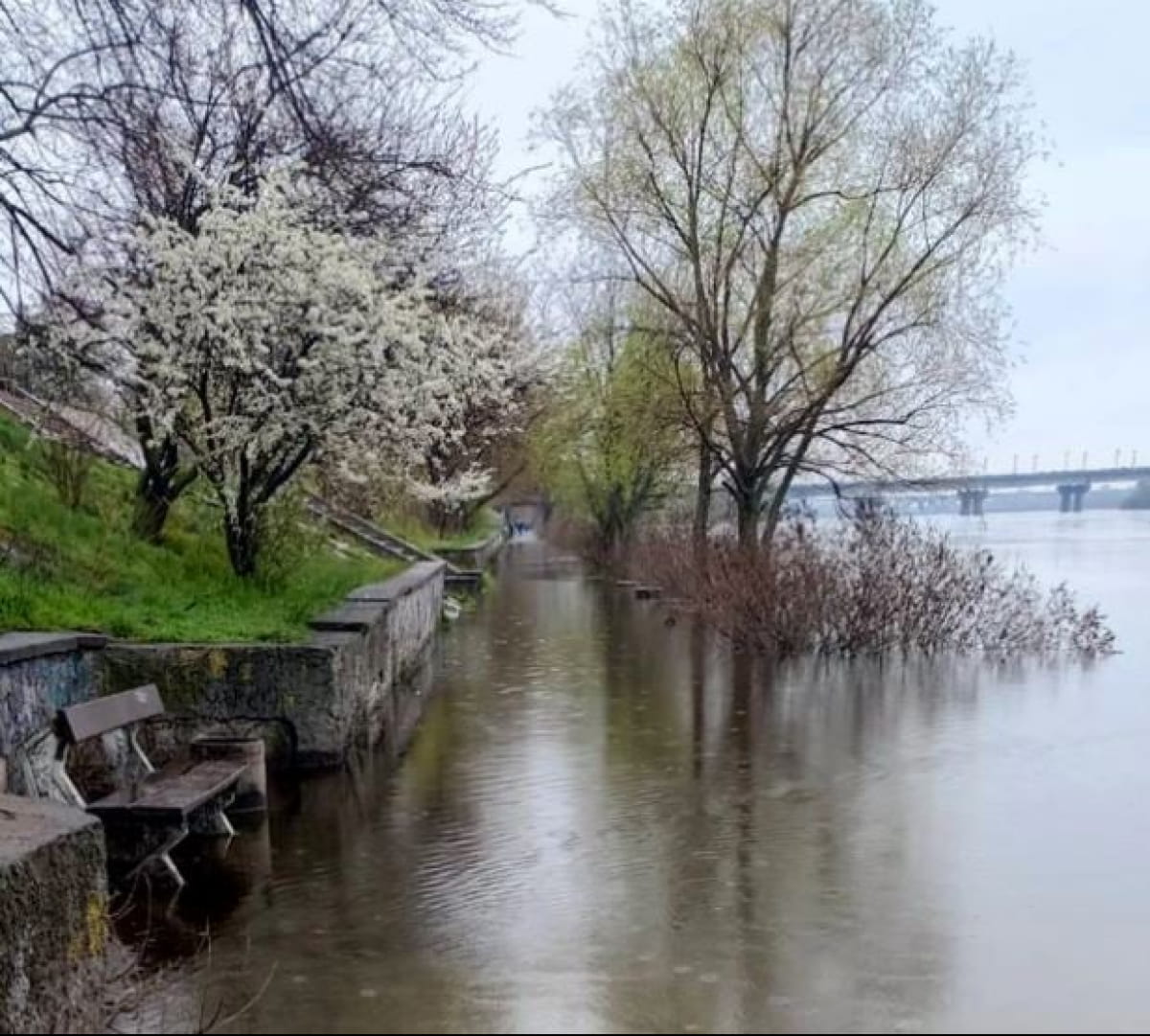 Паводок в Киеве