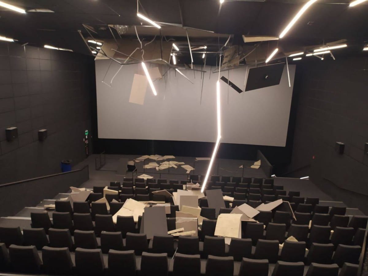Multiplex