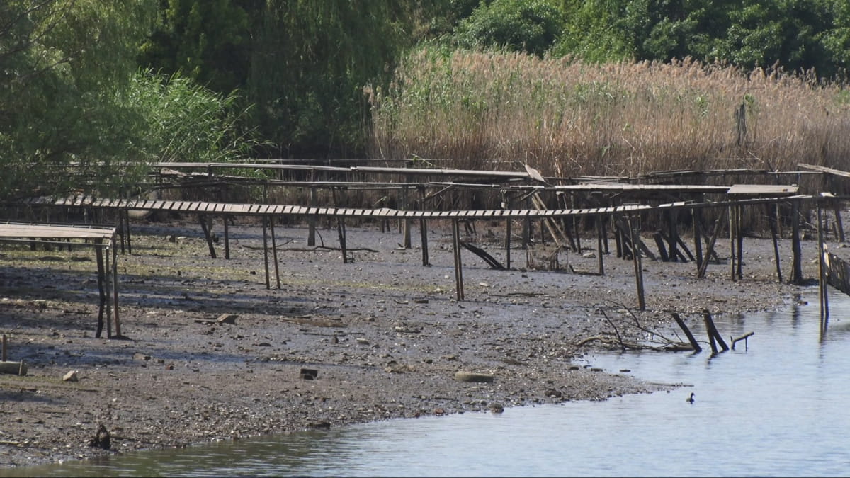 Стан справ під час війни: Нікополь, Дніпровщина та Херсон