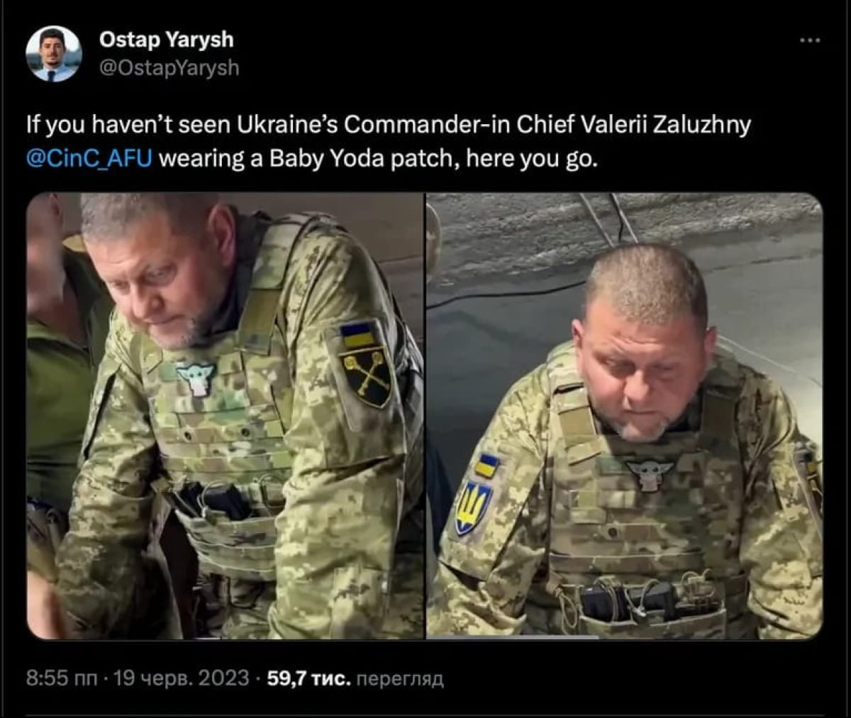 Залужный и нашивка