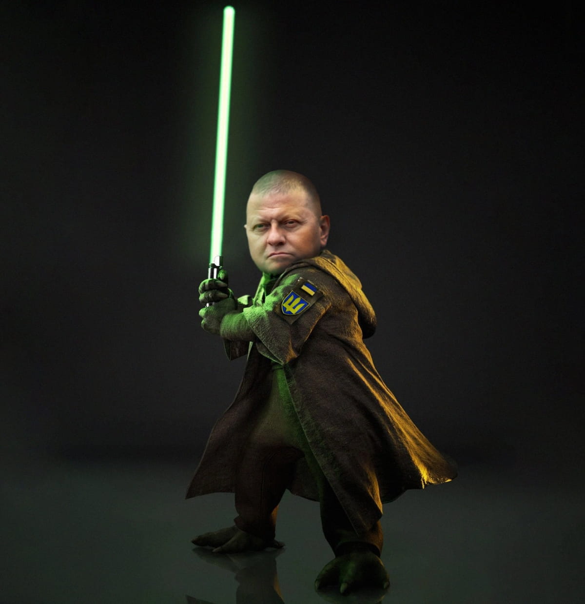 Залужный и нашивка