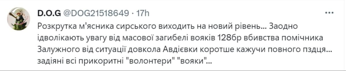 кот Сырский