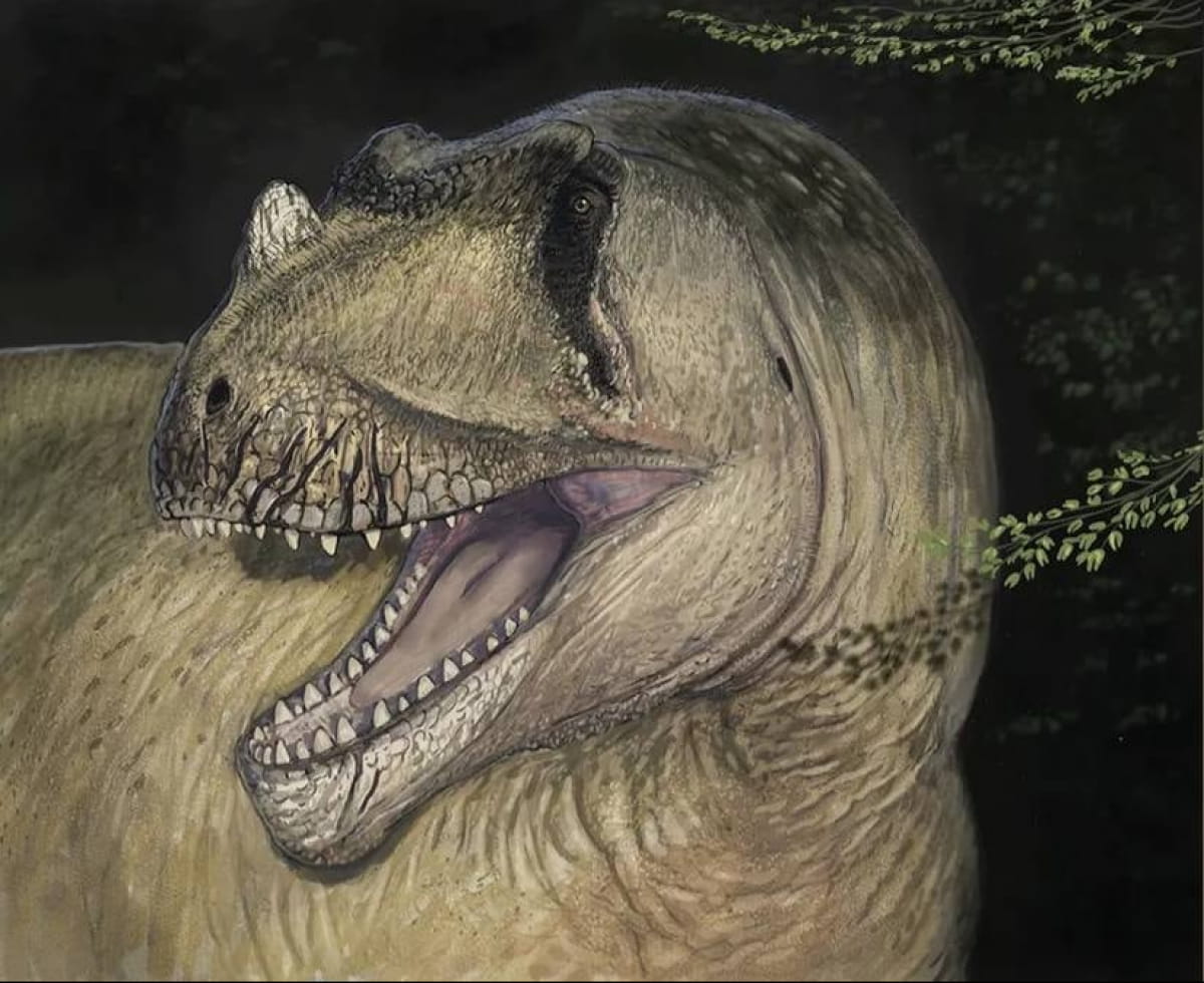 Tameryraptor markgrafi