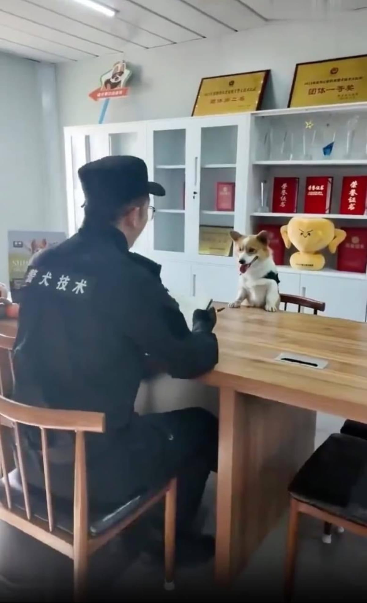Поліцейська собака