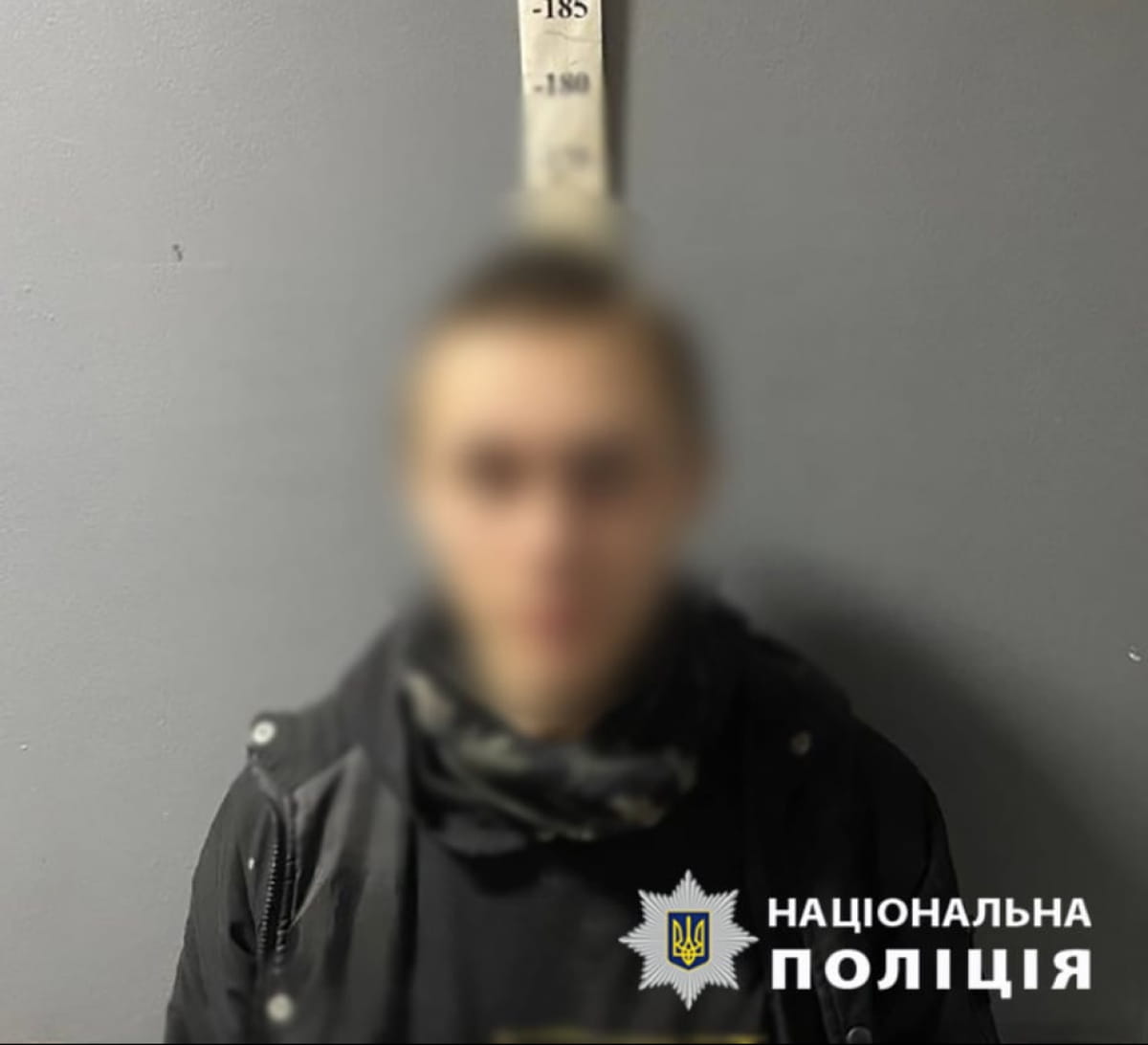 Задержан поджигатель