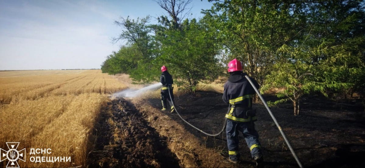 пожары