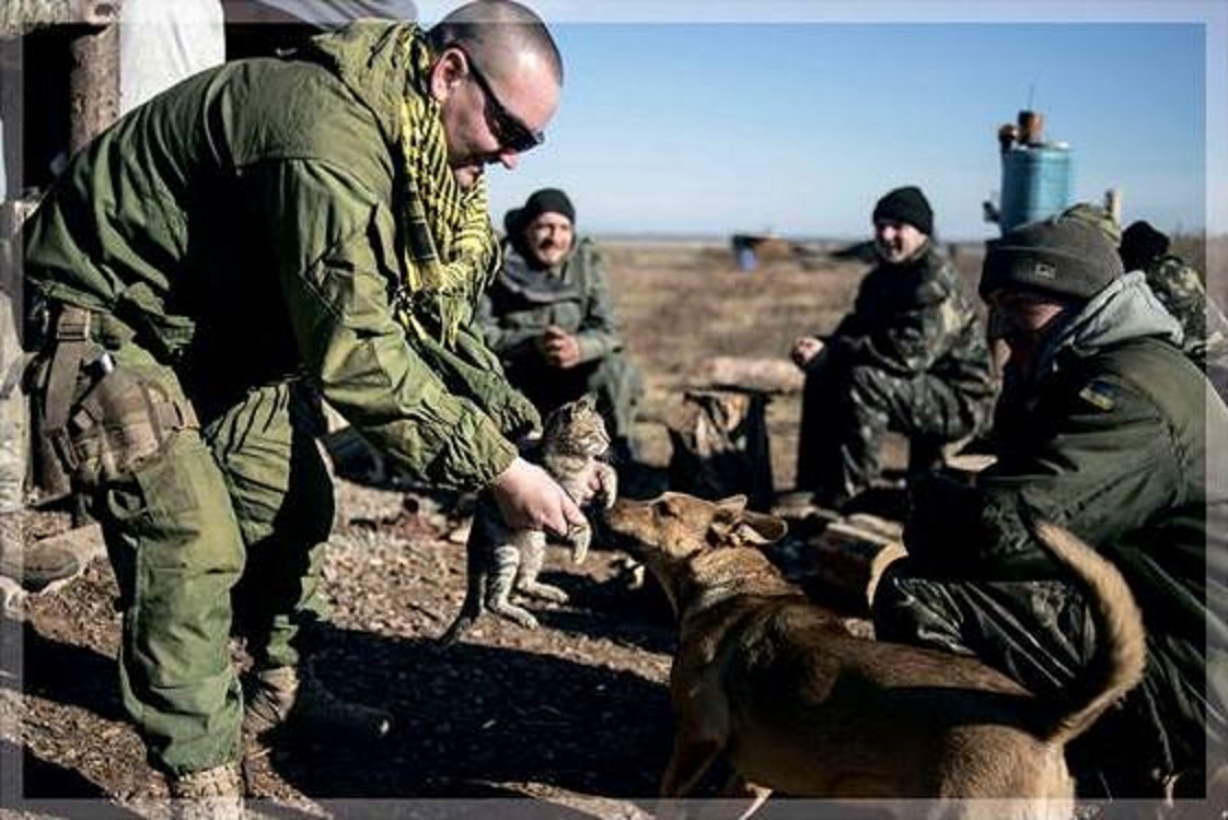 Волонтерська виставка 